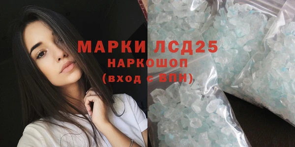 прущие грибы Алзамай