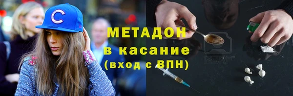 прущие грибы Алзамай