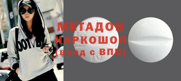 прущие грибы Алзамай
