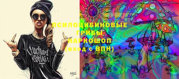 ПСИЛОЦИБИНОВЫЕ ГРИБЫ Алексин