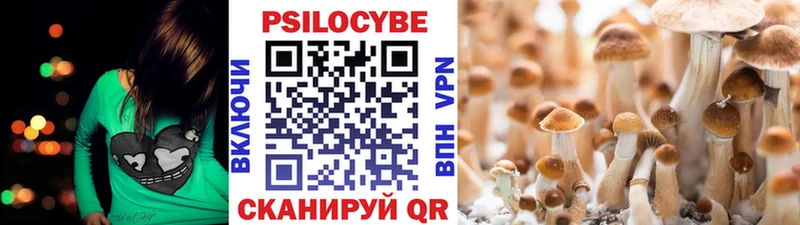 Псилоцибиновые грибы мицелий  Константиновск 